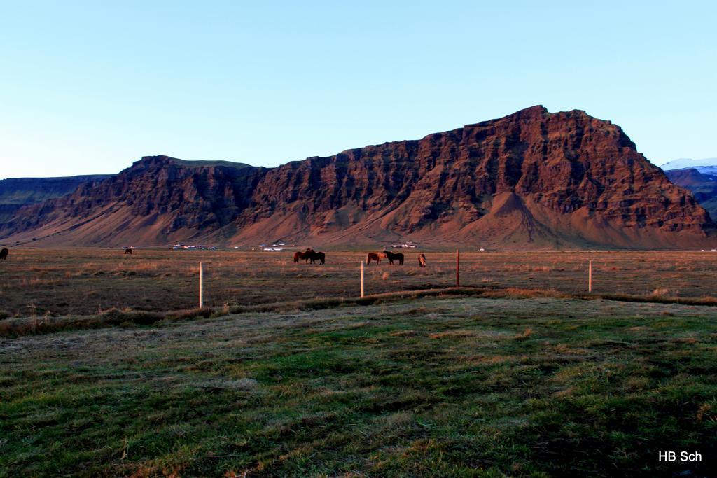 South Iceland Guesthouse Steinar Exterior foto